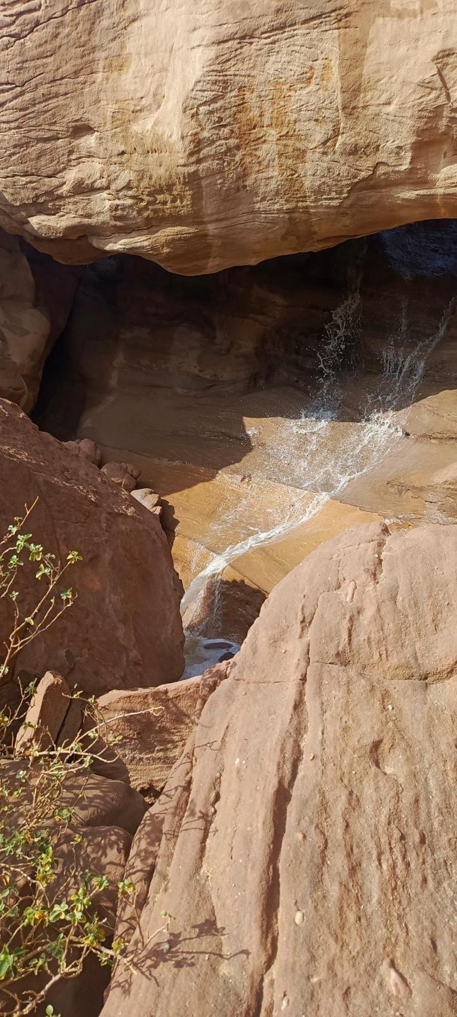 Wadi Rum Aviva Camp Экстерьер фото